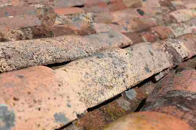 free roof replacement for senior citizens