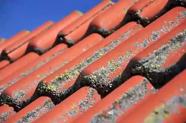 Replace Your Old Roof With New Roof