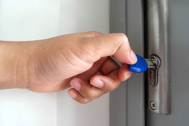 cost of door replacement for senior citizens