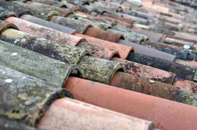 Roof Shingles Replacement Cost